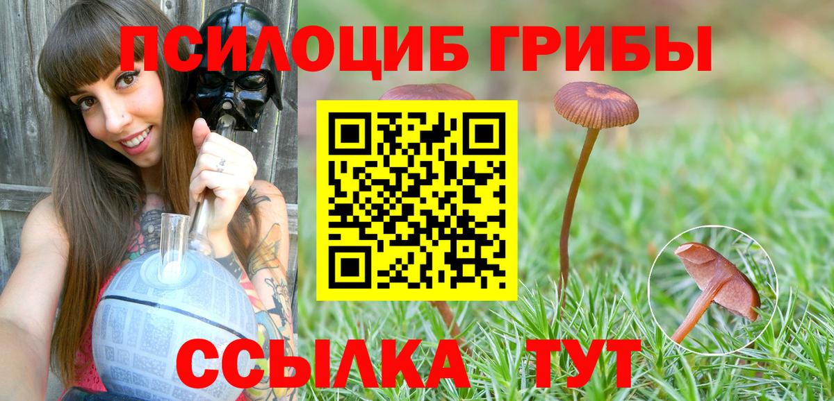 Чайковский  Псилоцибиновые грибы мухоморы  Вход с VPN  Галлюциногенные грибы GOLDEN TEACHER 