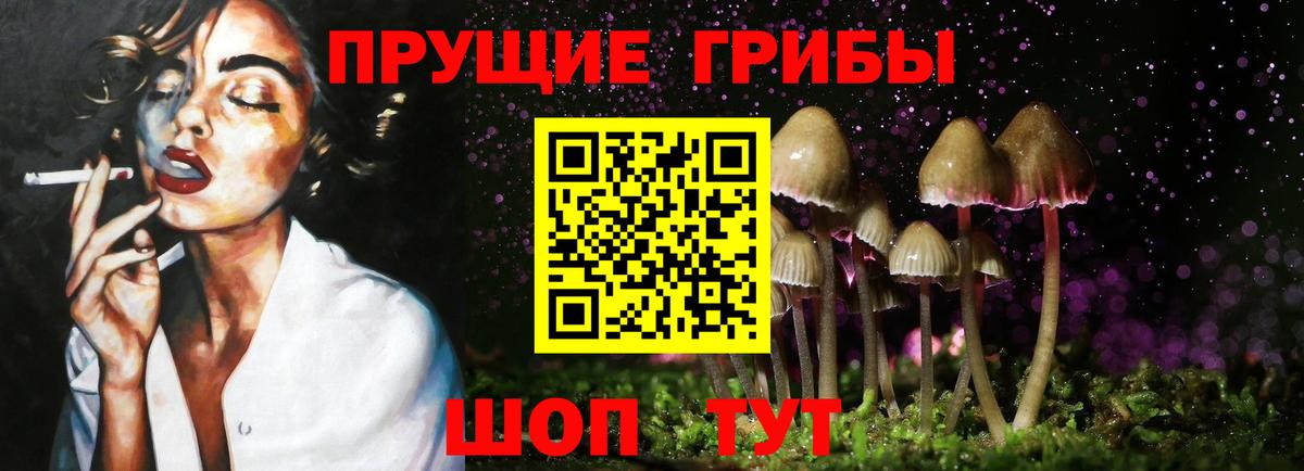 Псилоцибиновые грибы Psilocybe Чайковский
